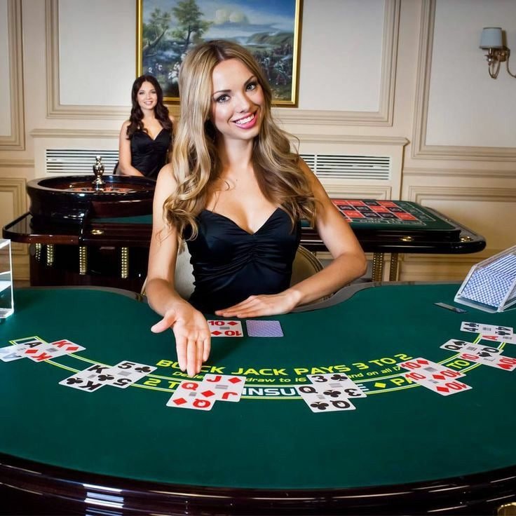 Sports and casino-style hub preview for tk99 com members